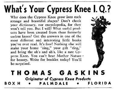 What's your Cypress Knee IQ?